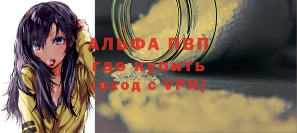 твердый Ладушкин