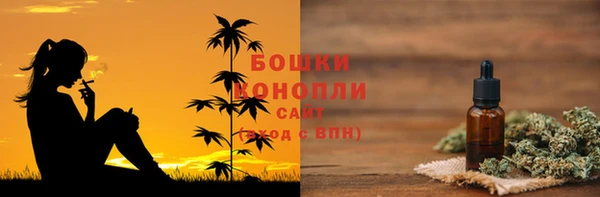 твердый Ладушкин