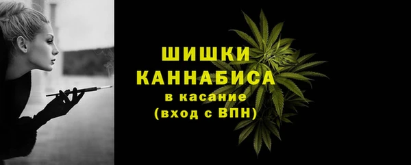 твердый Ладушкин