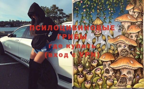 мдпв Лагань