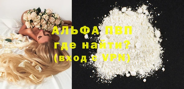 твердый Ладушкин