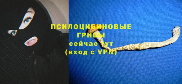 твердый Ладушкин