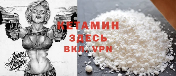 твердый Ладушкин