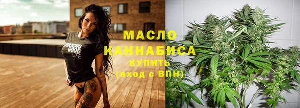 мдпв Лагань