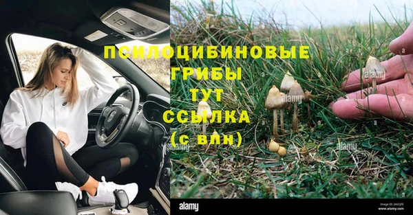 эйфоретик Лабытнанги