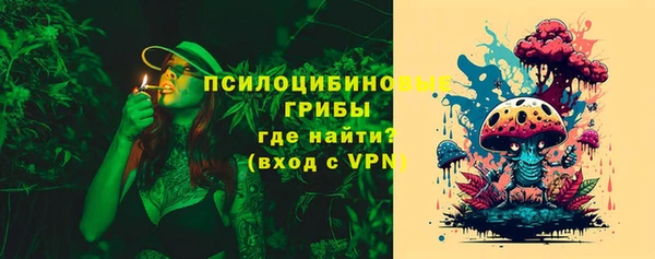 твердый Ладушкин